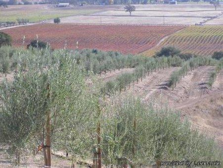 Alta Cresta Orchard & Inn Paso Robles Instalações foto